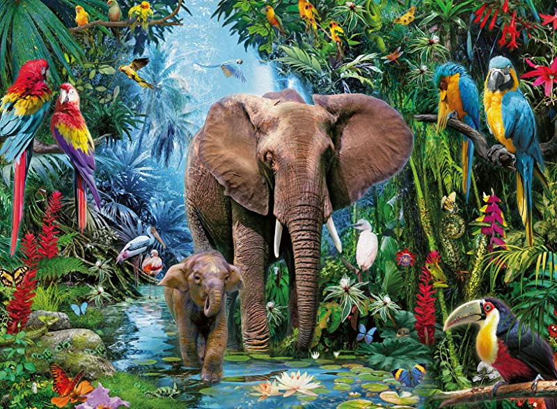 Jungle olifanten