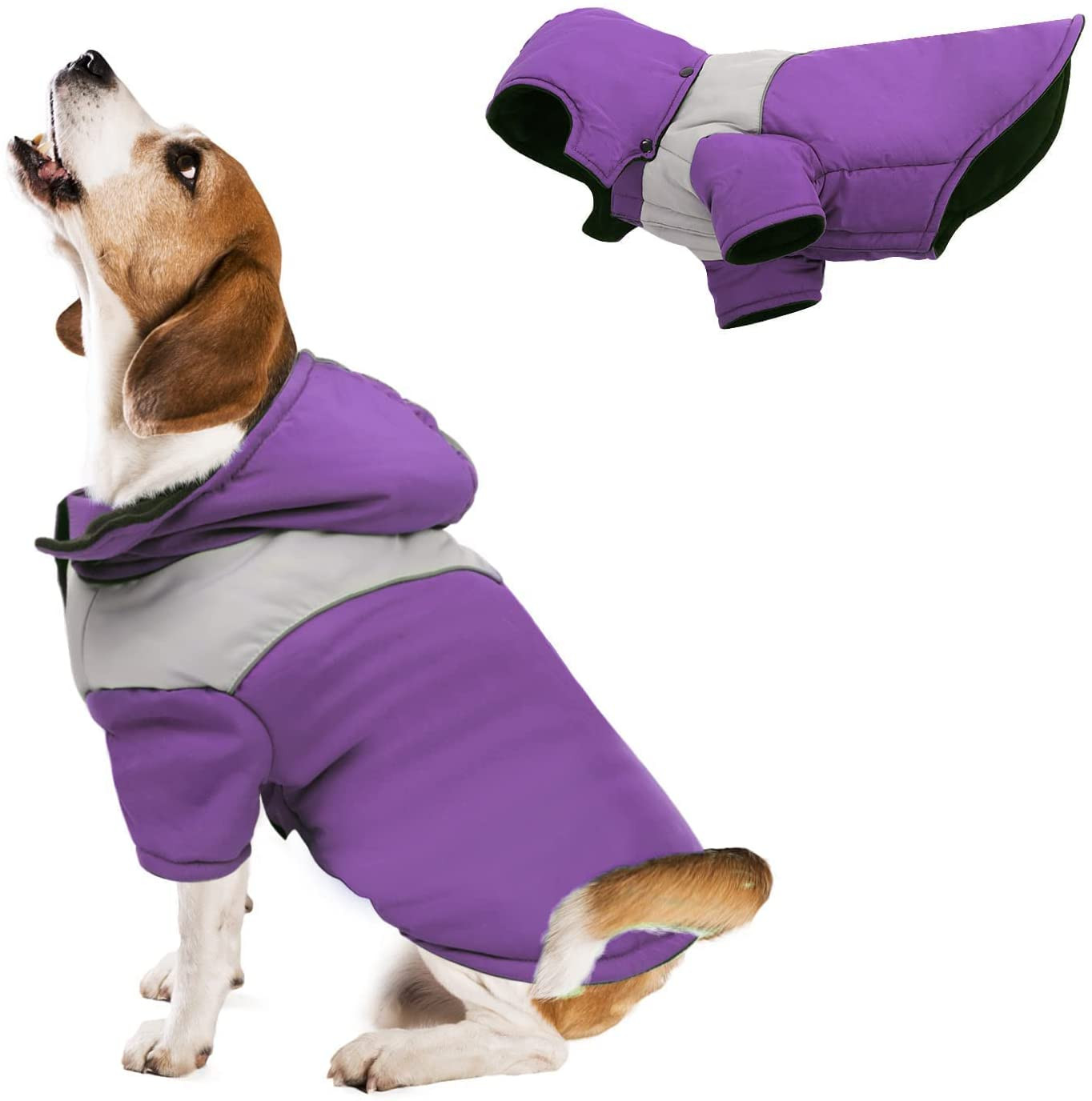 Guante Cepillado de Mascotas Huisdieren Honden Kleding & accessoires Accessoires 